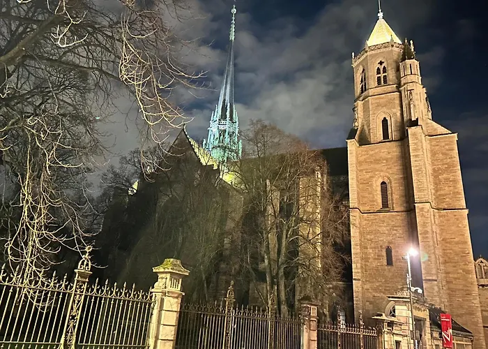 Coeur De 아파트 디종